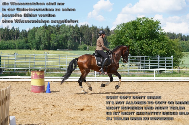 s_K3F06804.JPG